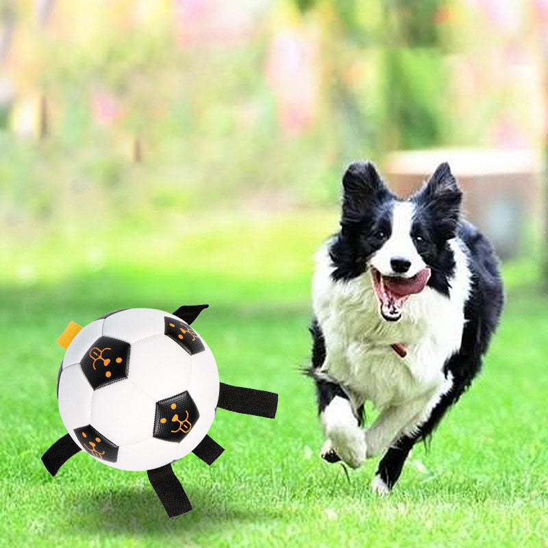 Pet Ball Toy Outdoor Interactive Football Dog Training Ball Multifunctional Rope Biting Dog Ball Dog Toy