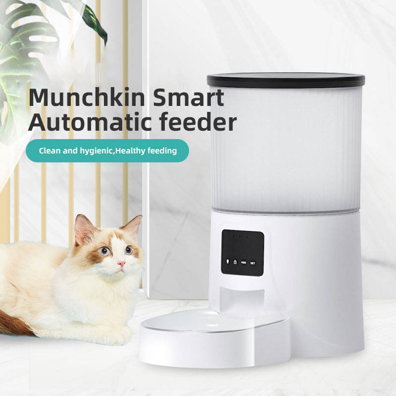 Wifi Smart APP Dog and Cat Feeder Household use Microchip Automatic Pet Feeder