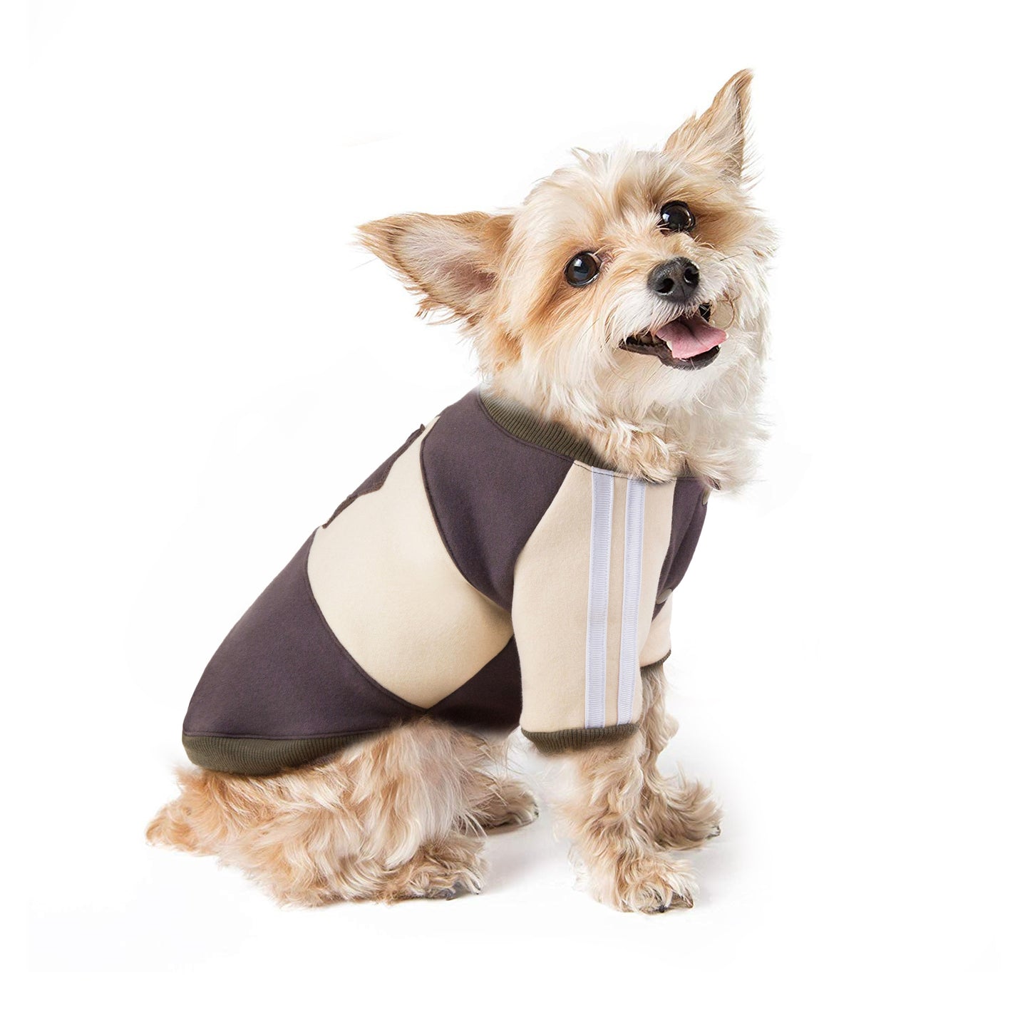 Dog Clothes Autumn And Winter Clothes Pet Clothes Sweater Teddy Clothes Hooded Cat Clothes Fleece