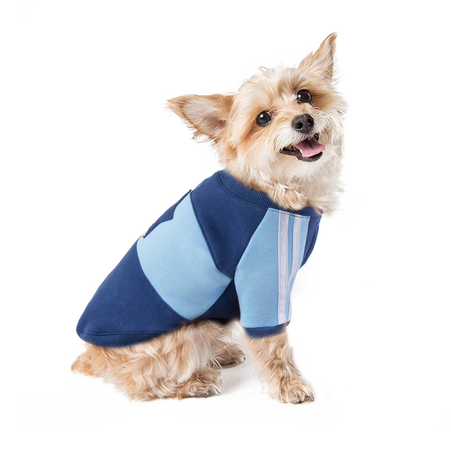 Dog Clothes Autumn And Winter Clothes Pet Clothes Sweater Teddy Clothes Hooded Cat Clothes Fleece