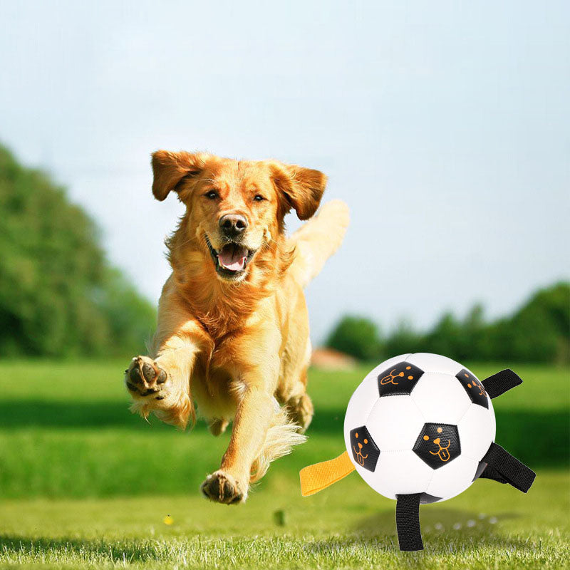 Pet Ball Toy Outdoor Interactive Football Dog Training Ball Multifunctional Rope Biting Dog Ball Dog Toy