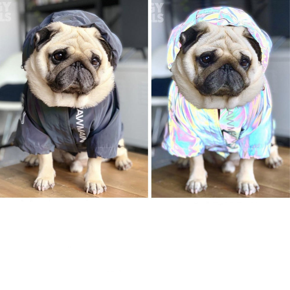 Windproof and Rainproof North Dog Face Dog Large Dog Raincoat Dog Pet