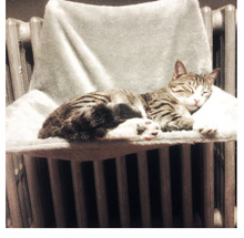 New Cat House Firm Cat Hammock Hanging Chair Portable Hanging Pet Nest Window Table Sleeping Chair Climbing Frame Cat Nest