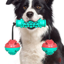 Dog Toy Molar Stick Bite Resistant Toothbrush Dog Toy With Rope 3 Pet Products