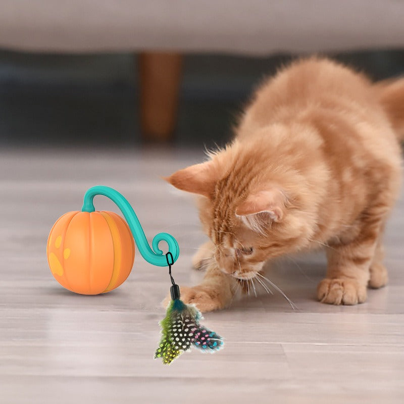 Pumpkin Appearance New Smart Cheer Cat Sports Companion Ball Electric Magic Ball Cat Toys