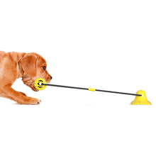 Pet Supplies Molar Leakage Bite Resistant Ball Dog Toy Double Sucker Dog Toy
