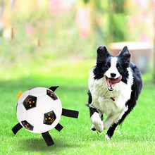 Pet Ball Toy Outdoor Interactive Football Dog Training Ball Multifunctional Rope Biting Dog Ball Dog Toy