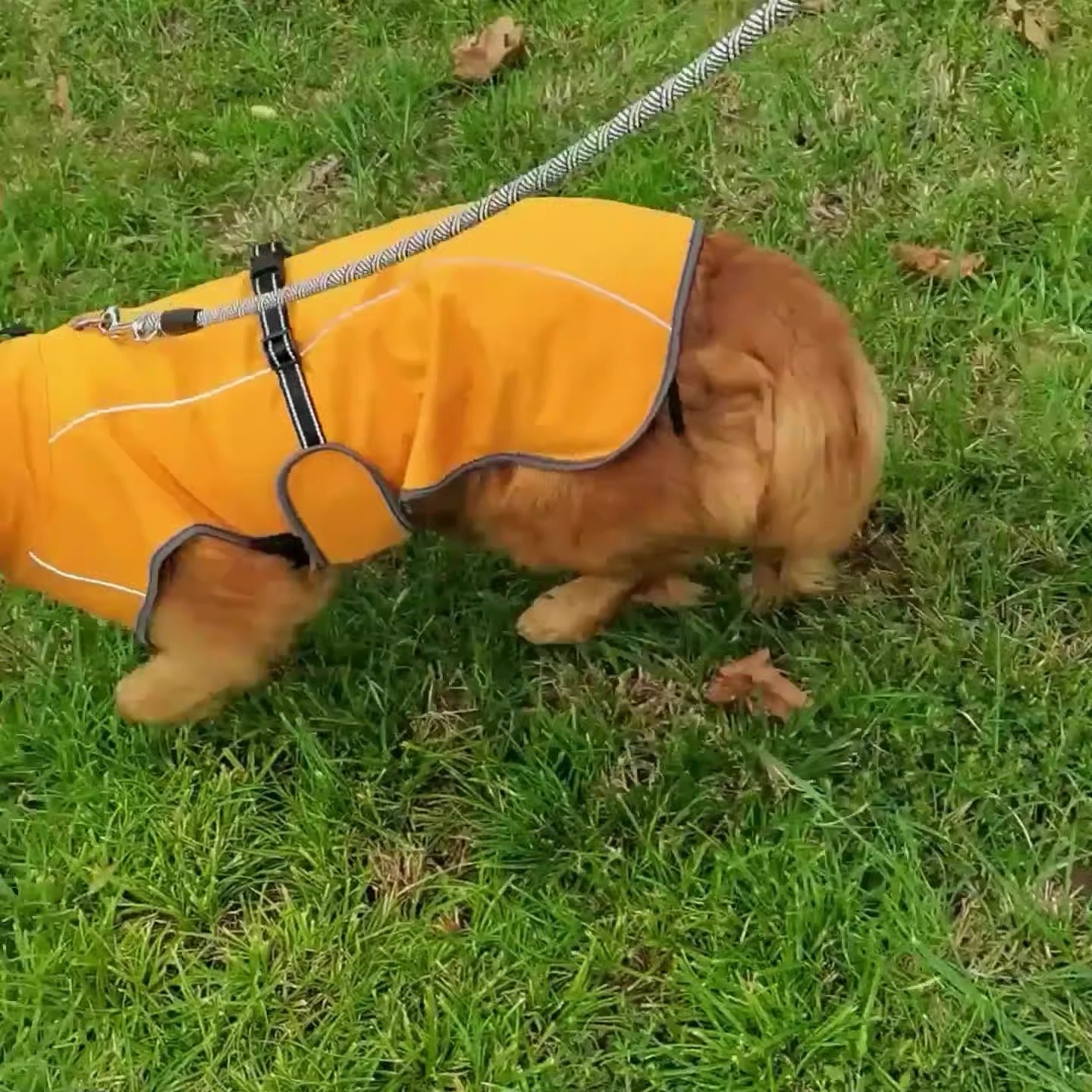 New Reflective Big Dog Clothing Autumn and Winter Warm Pet Charge Coat Golden Hair Labrador Dog Cotton Coat