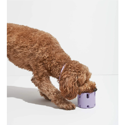 Tpr Tennis Cup Pet Dog Toy